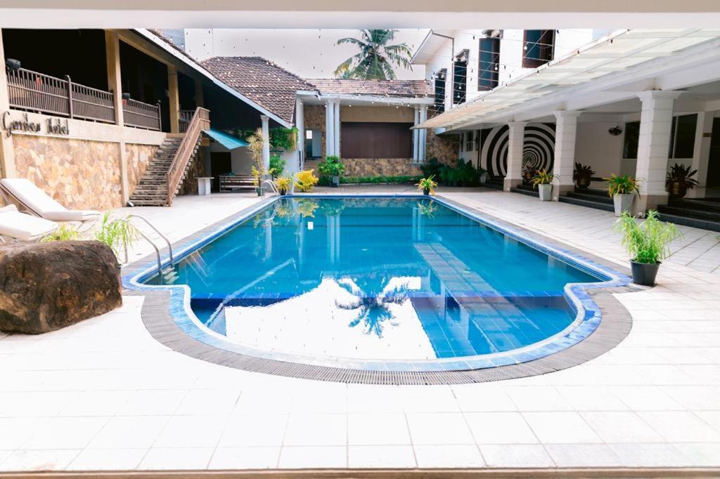 Romantic Garden Hotel Negombo Extérieur photo